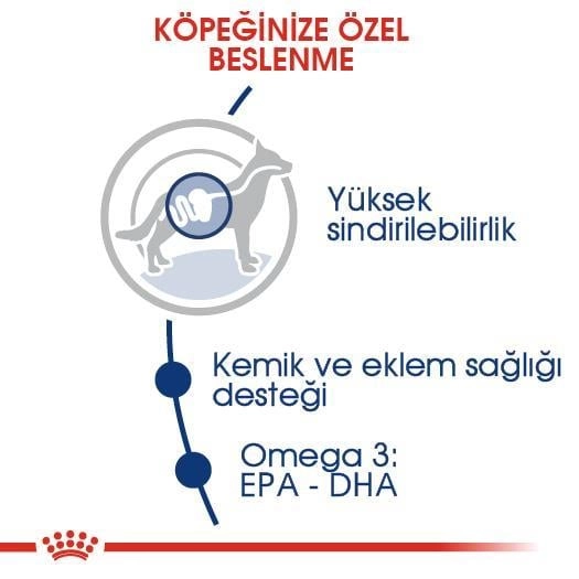 Royal Canin  15 kg Maxi Adult Yetişkin Büyük Irk Köpek Maması