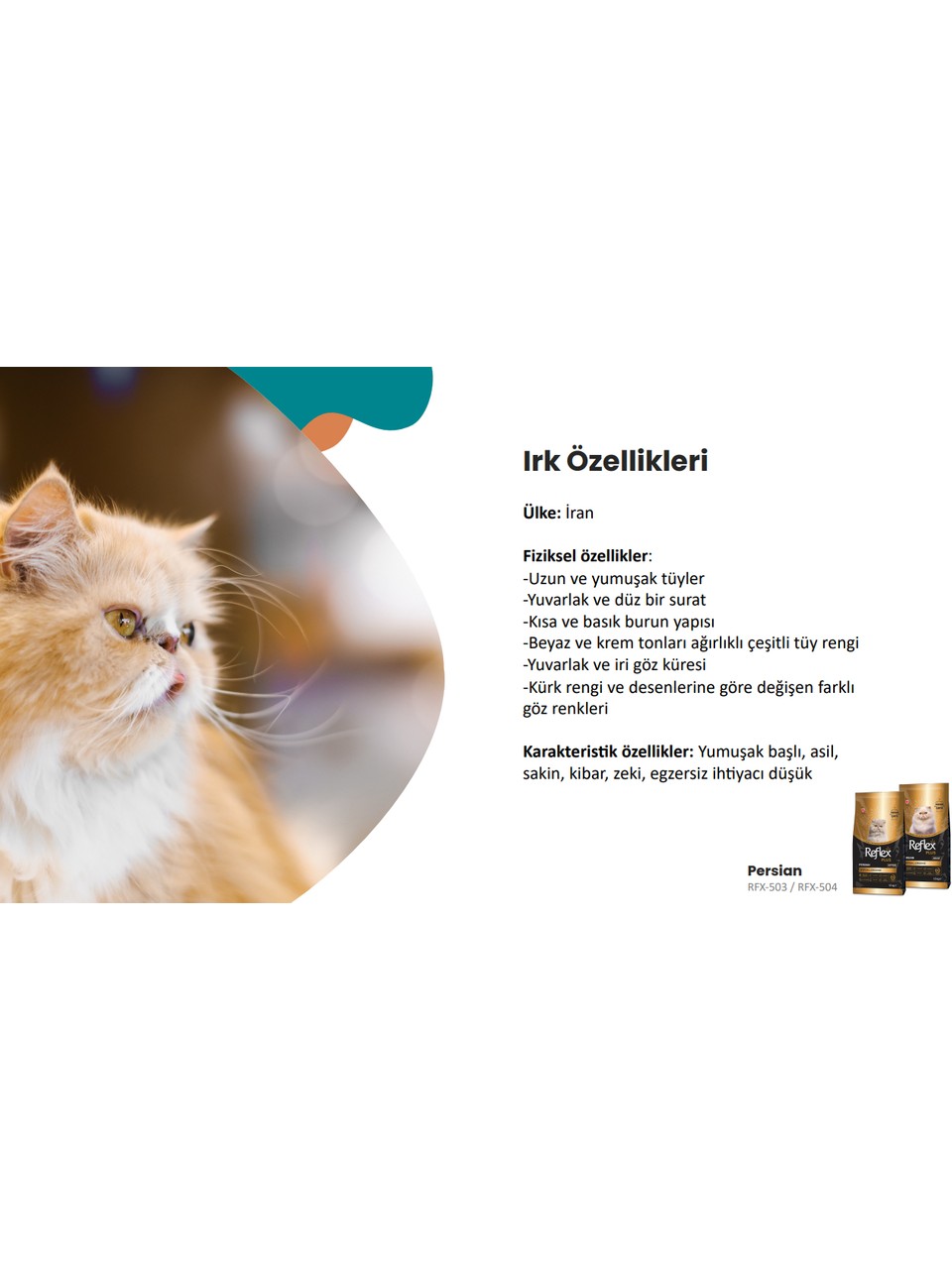 Reflex Plus 1.5 kg Persian Yavru Kedi Maması 