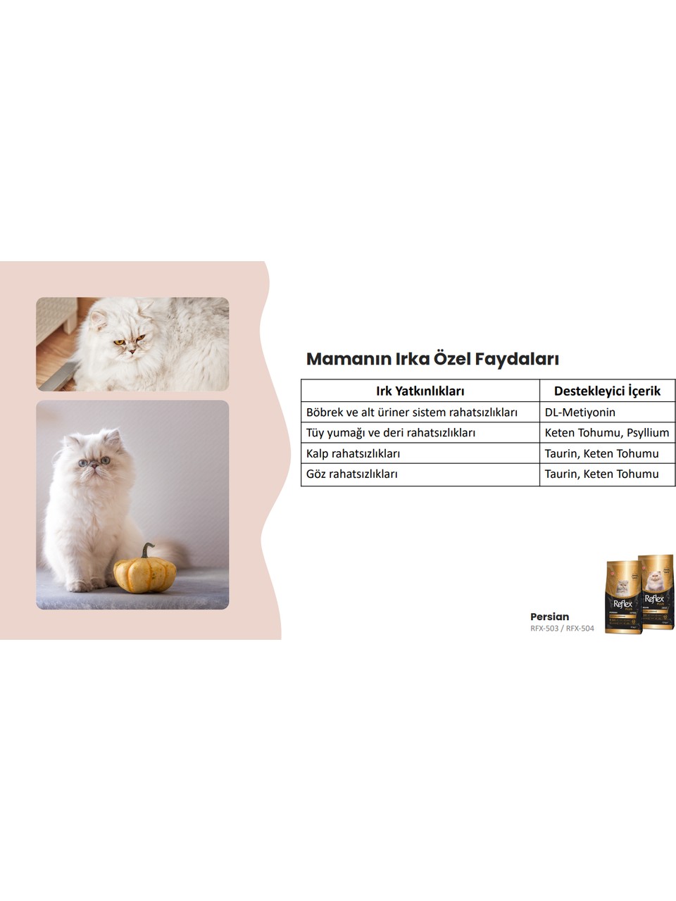 Reflex Plus 1.5 kg Persian Yavru Kedi Maması 