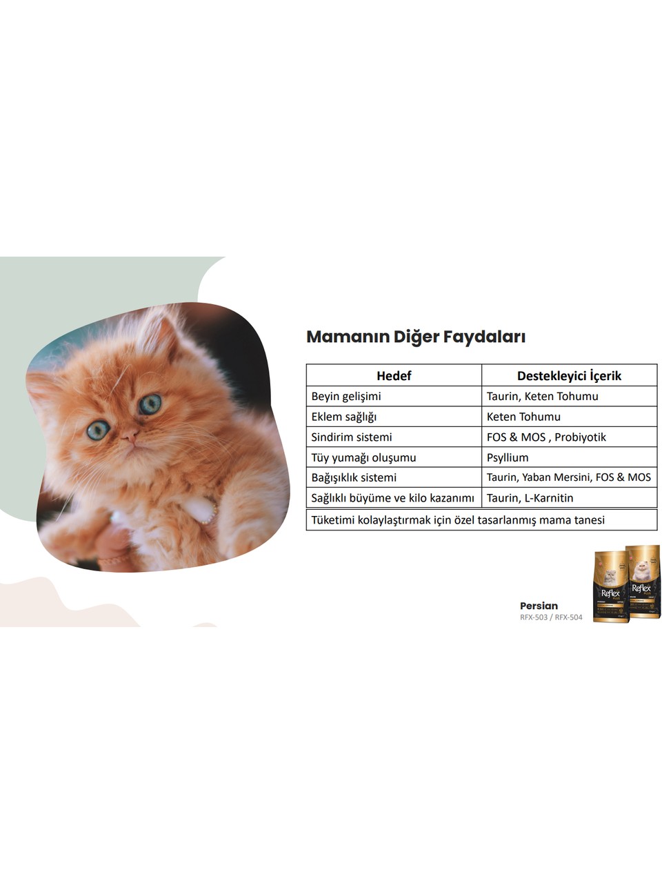 Reflex Plus 1.5 kg Persian Yavru Kedi Maması 