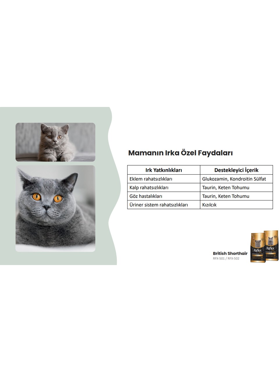 Reflex Plus 1.5 kg British Shorthair Yetişkin Kedi Maması