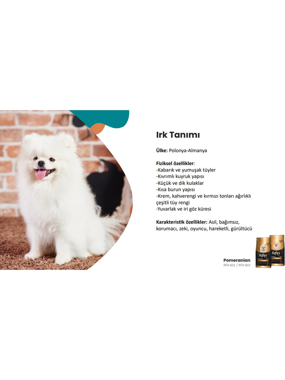 Reflex Plus 2 kg Pomeranian Yetişkin Köpek Maması 