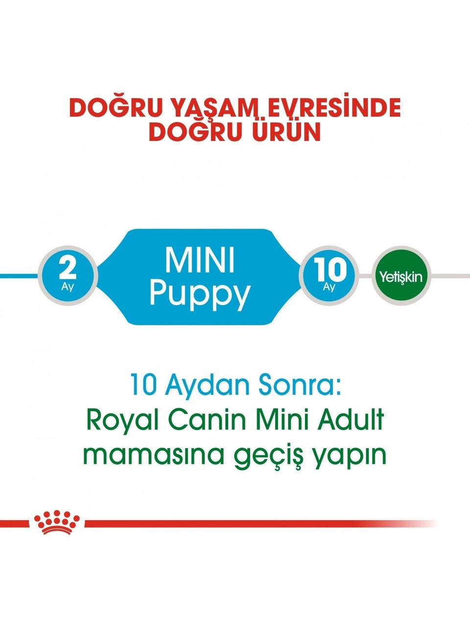 Royal Canin 4kg Küçük Irklar için Yavru Kuru Köpek Maması 