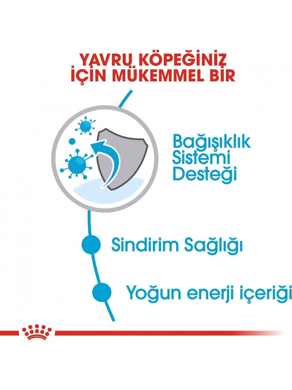 Royal Canin 4kg Küçük Irklar için Yavru Kuru Köpek Maması 