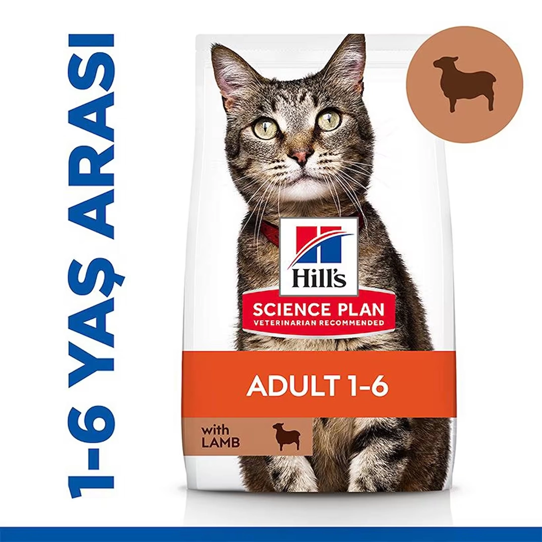Hill’s 3 Kg Kuzu Etli Yetişkin Kedi Maması 