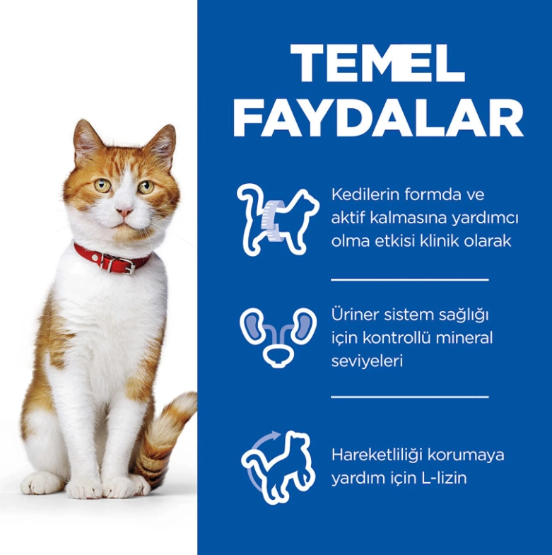 Hills 3 Kg Tavuklu Kısırlaştırılmış Yetişkin Kedi Maması