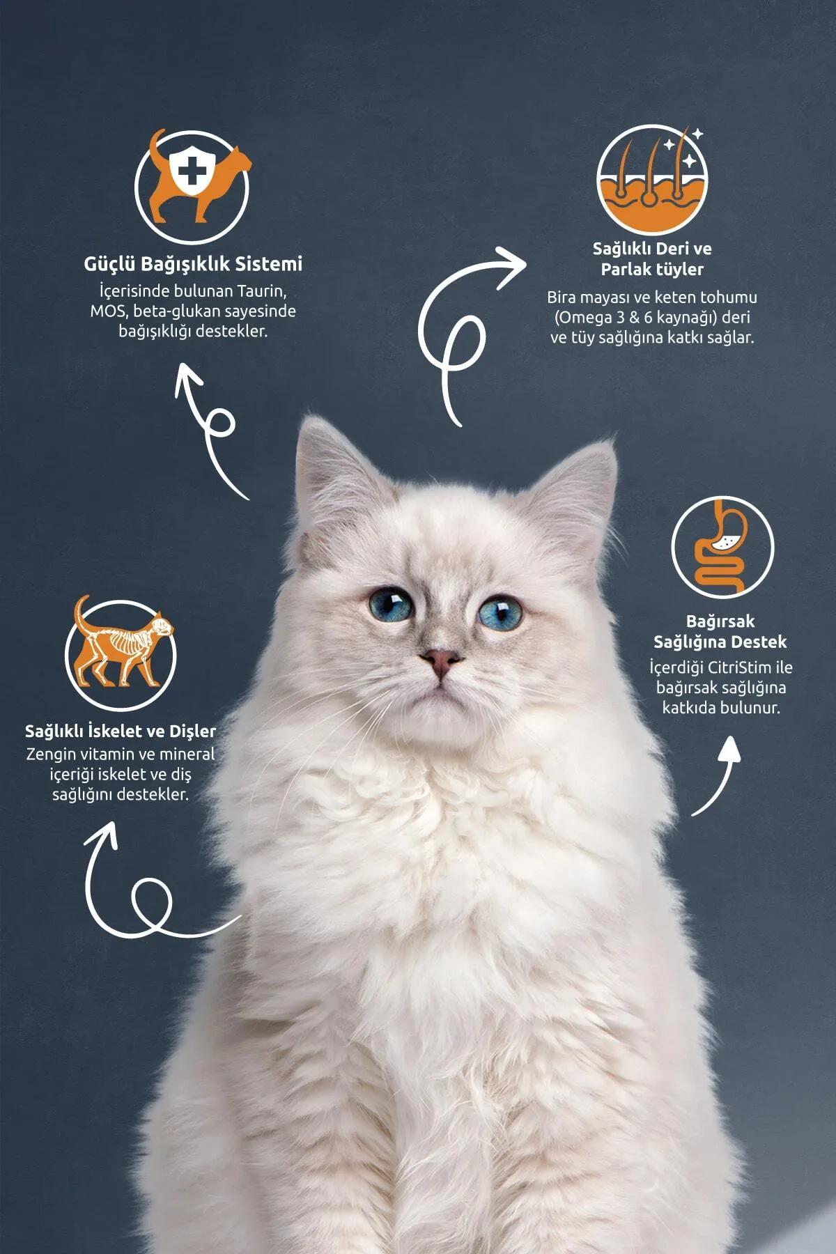 Reflex 15 Kg Gourmet Tavuklu & Pirinçli Yetişkin Kedi Maması 