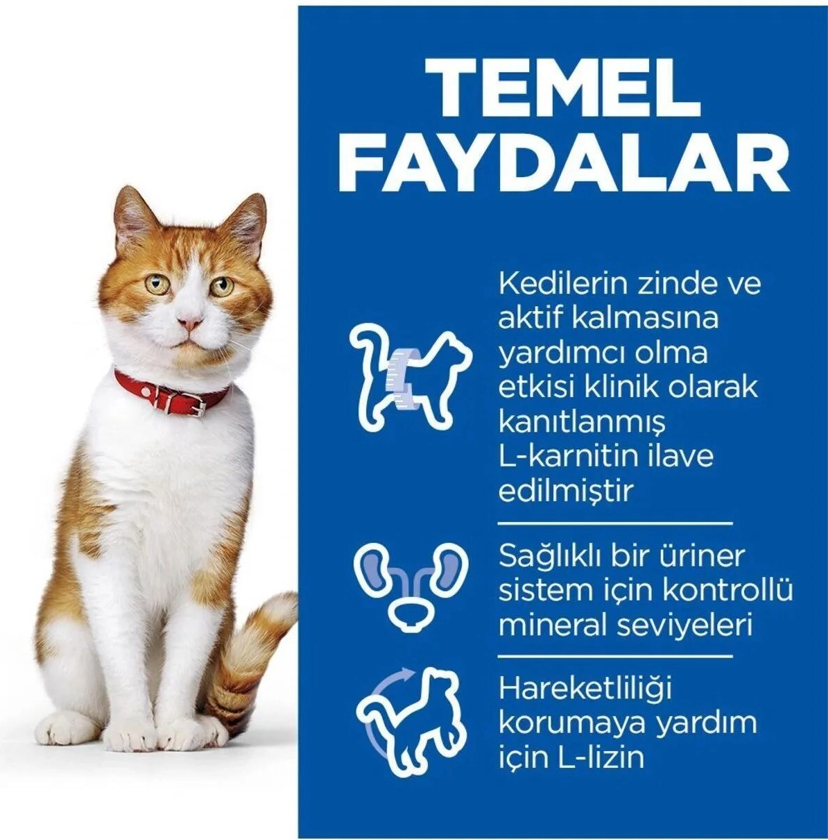 Hills 15 Kg Somonlu Kısırlaştırılmış Yetişkin Kedi Maması