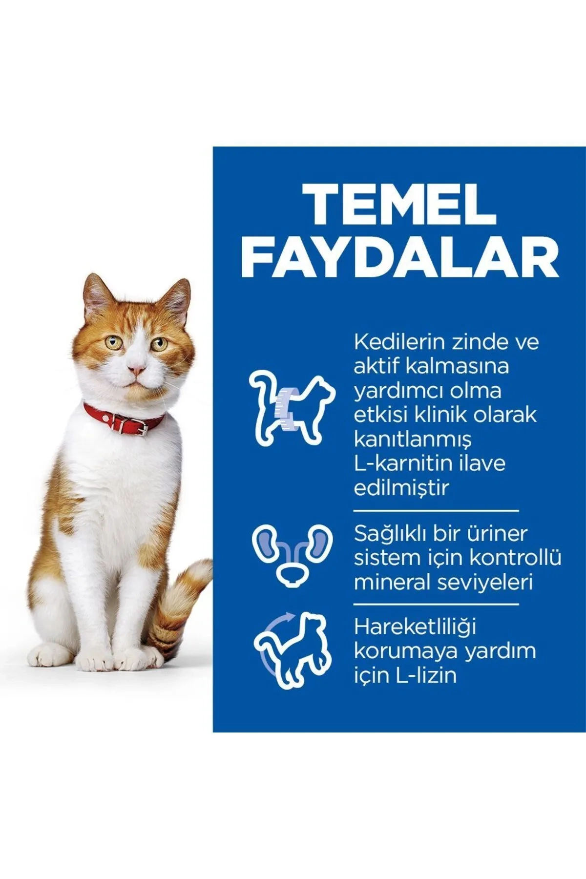 Hills 3 Kg Somonlu Kısırlaştırılmış Yetişkin Kedi Maması