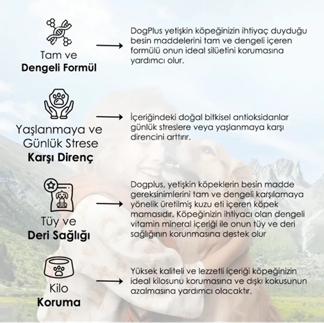 DogPlus 15 Kg Düşük Tahıllı Hipoalerjenik Kuzu Etli Yüksek Enerjili Yetişkin Köpek Maması 