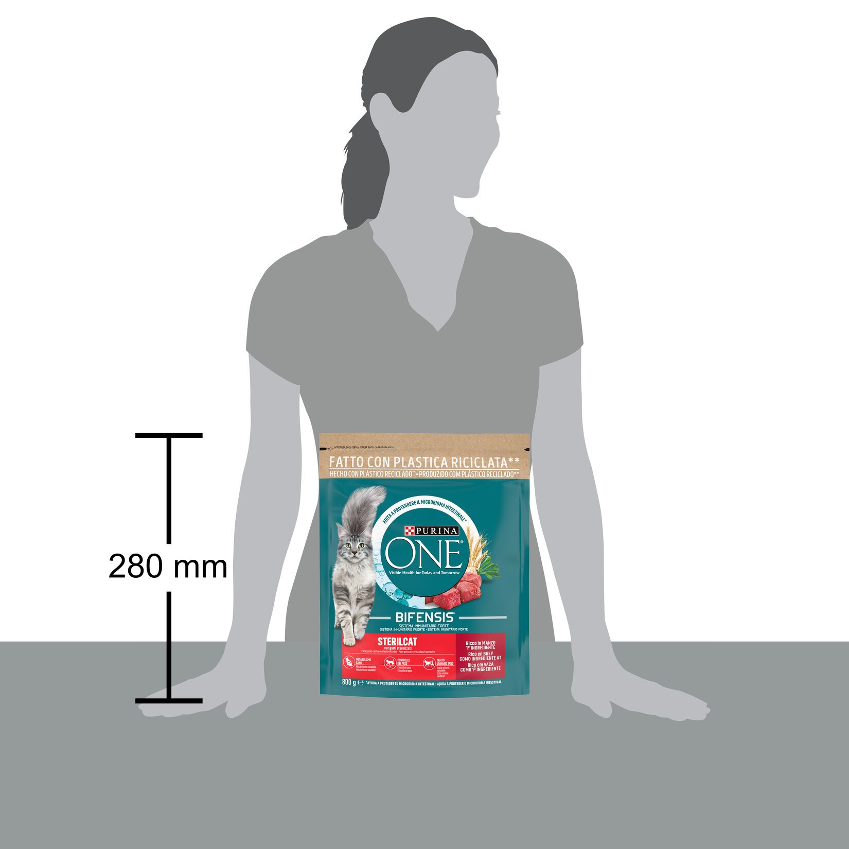 Purina%20One%20800%20Gr%20Sığır%20Etli%20Kısırlaştırılmış%20Yetişkin%20Kedi%20Maması%20