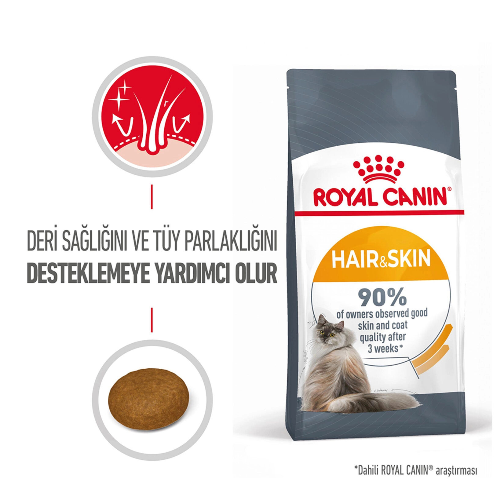 Royal Canin 4 Kg Tüy Ve Deri Sağlığı Kuru Kedi Mama 
