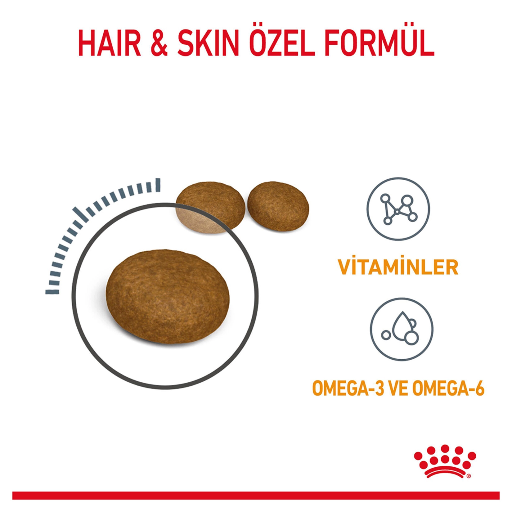 Royal Canin 4 Kg Tüy Ve Deri Sağlığı Kuru Kedi Mama 