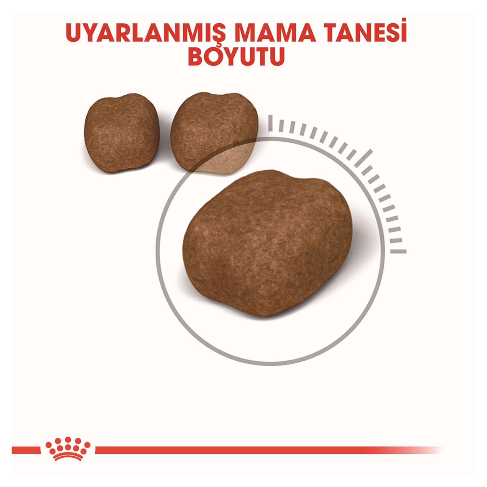 Royal Canin 1.5 Kg Diş Sağlığı için ( Oral Care )   Kuru Mama 
