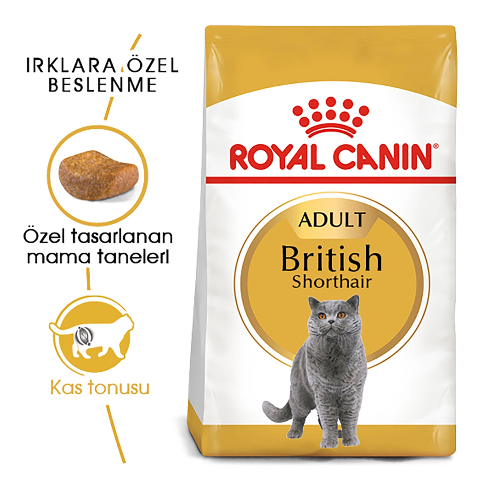 Royal Canin 4 Kg British Shorthair Kuru Kedi Mama 