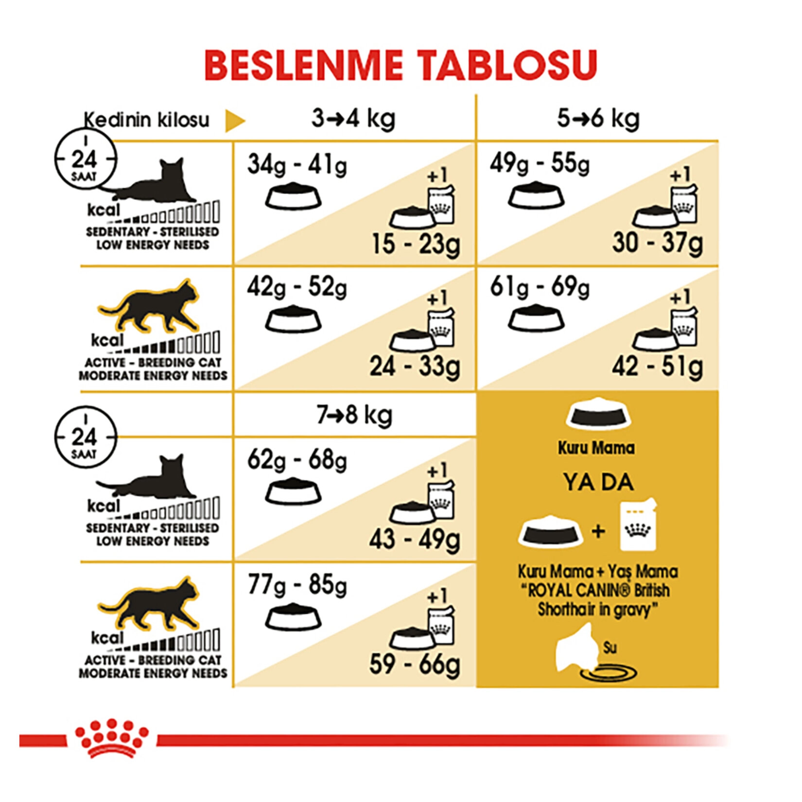 Royal Canin 4 Kg British Shorthair Kuru Kedi Mama 
