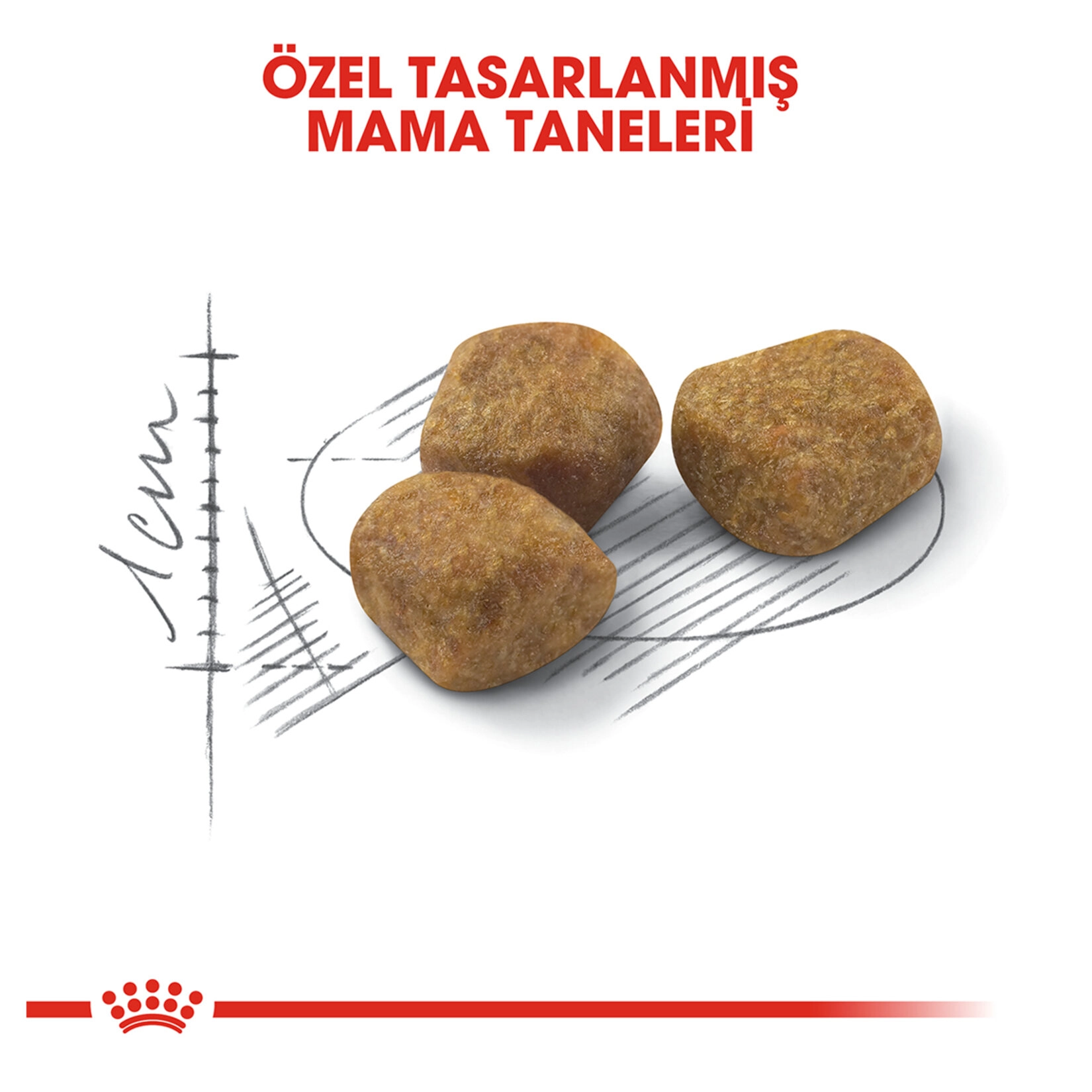 Royal Canin 3.5 Kg Indoor27 7+ Kuru Kedi Maması 