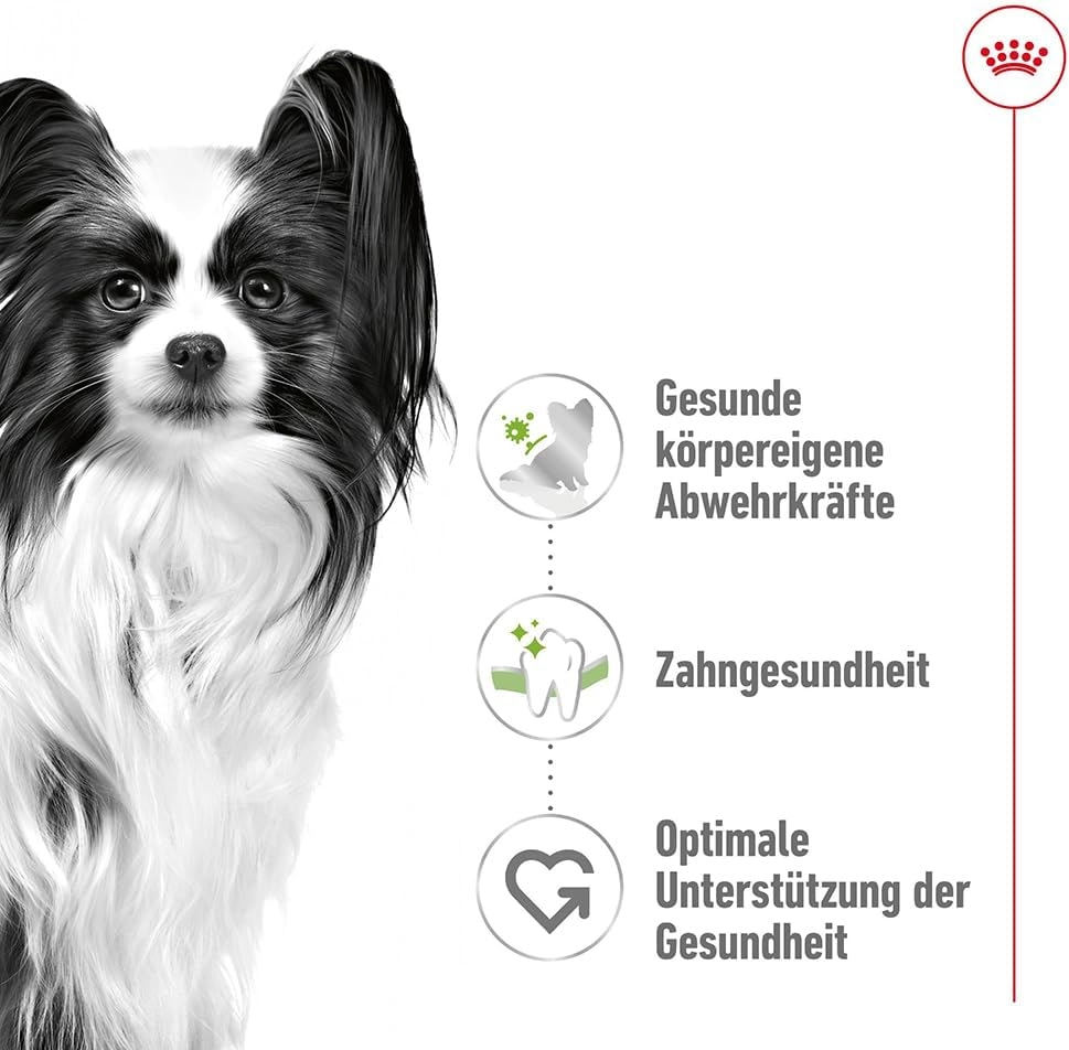 Royal Canin 3 Kg Xsmall Mini Irk Yetişkin Köpek Maması 
