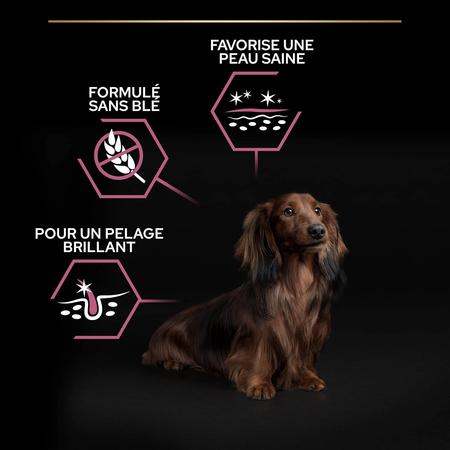 Pro Plan 7 kg Small&Mini Yetişkin Küçük Irk Köpek Maması Somonlu 