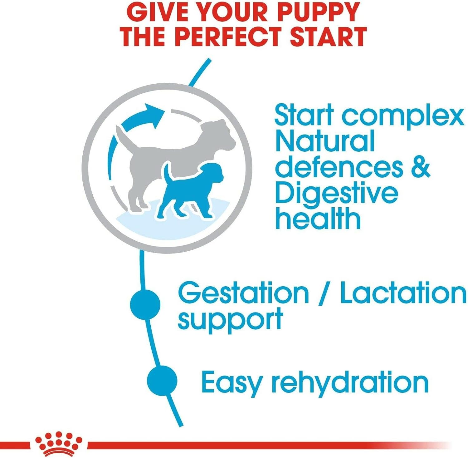 Royal%20Canin%204%20Kg%20Mini%20Starter%20Mother%20&%20Babydog%20Küçük%20Irk%20Yavru%20Köpek%20Maması%20