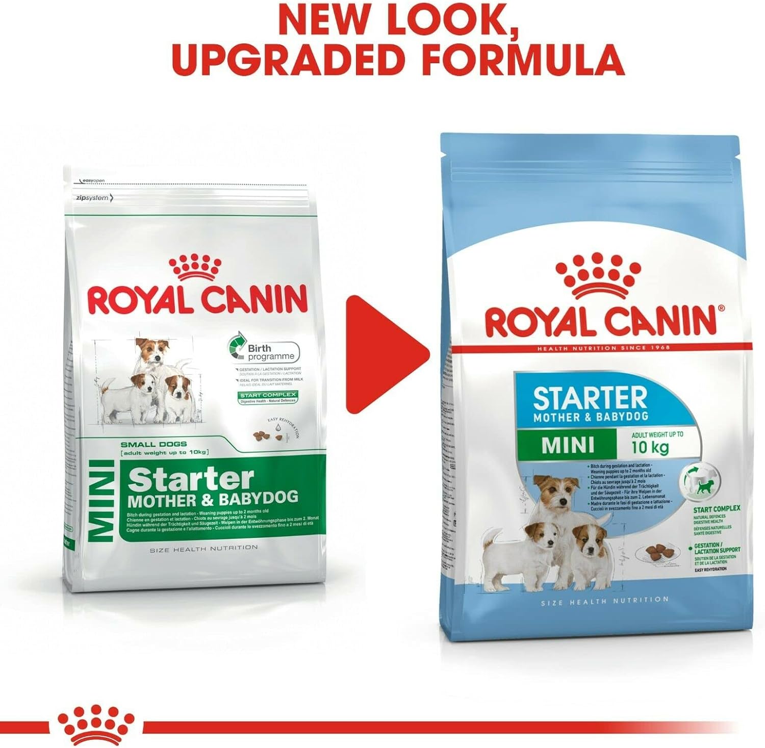Royal%20Canin%204%20Kg%20Mini%20Starter%20Mother%20&%20Babydog%20Küçük%20Irk%20Yavru%20Köpek%20Maması%20