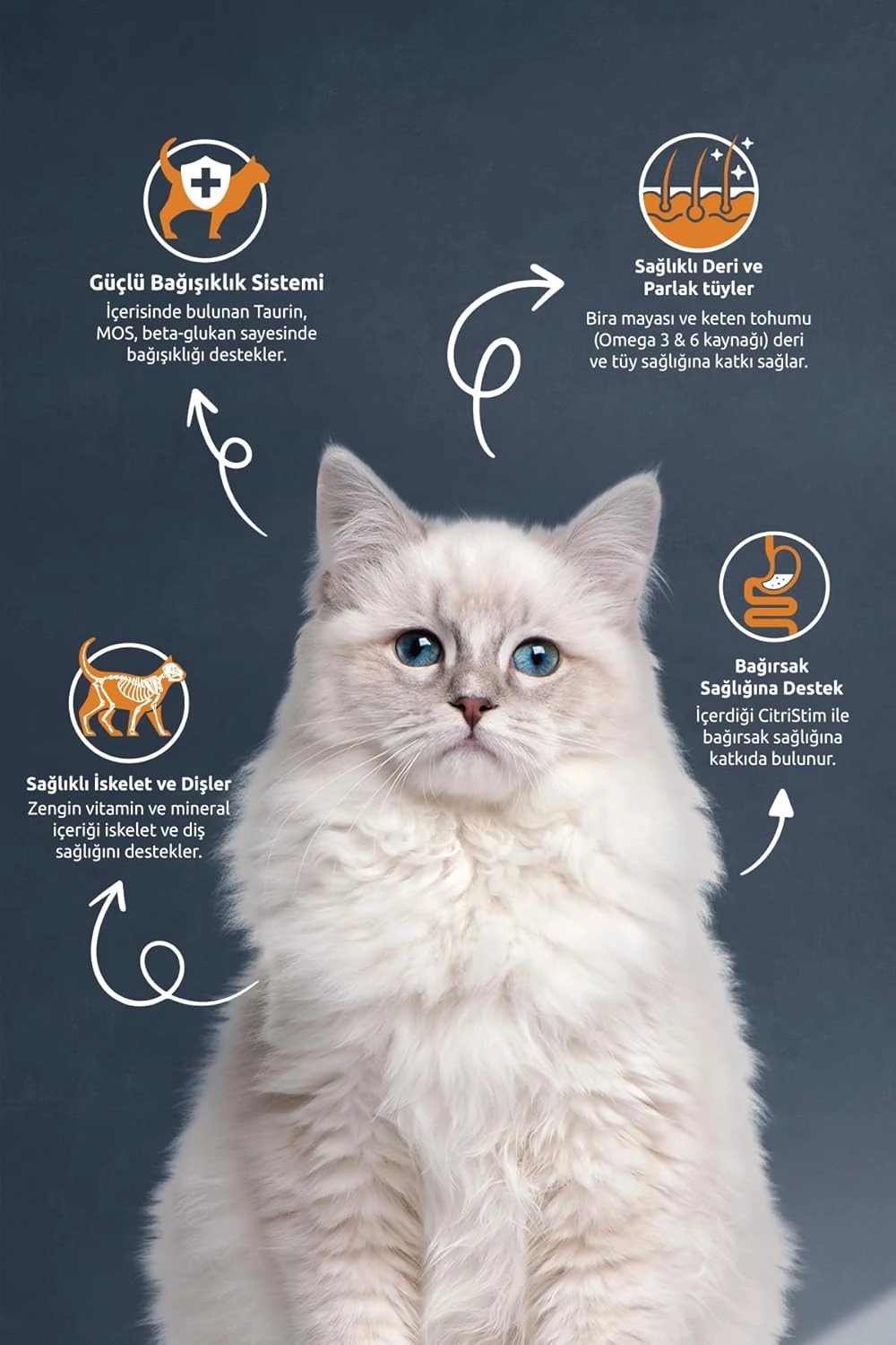 Reflex  2 Kg Somonlu ve Hamsili Yetişkin Kedi Maması