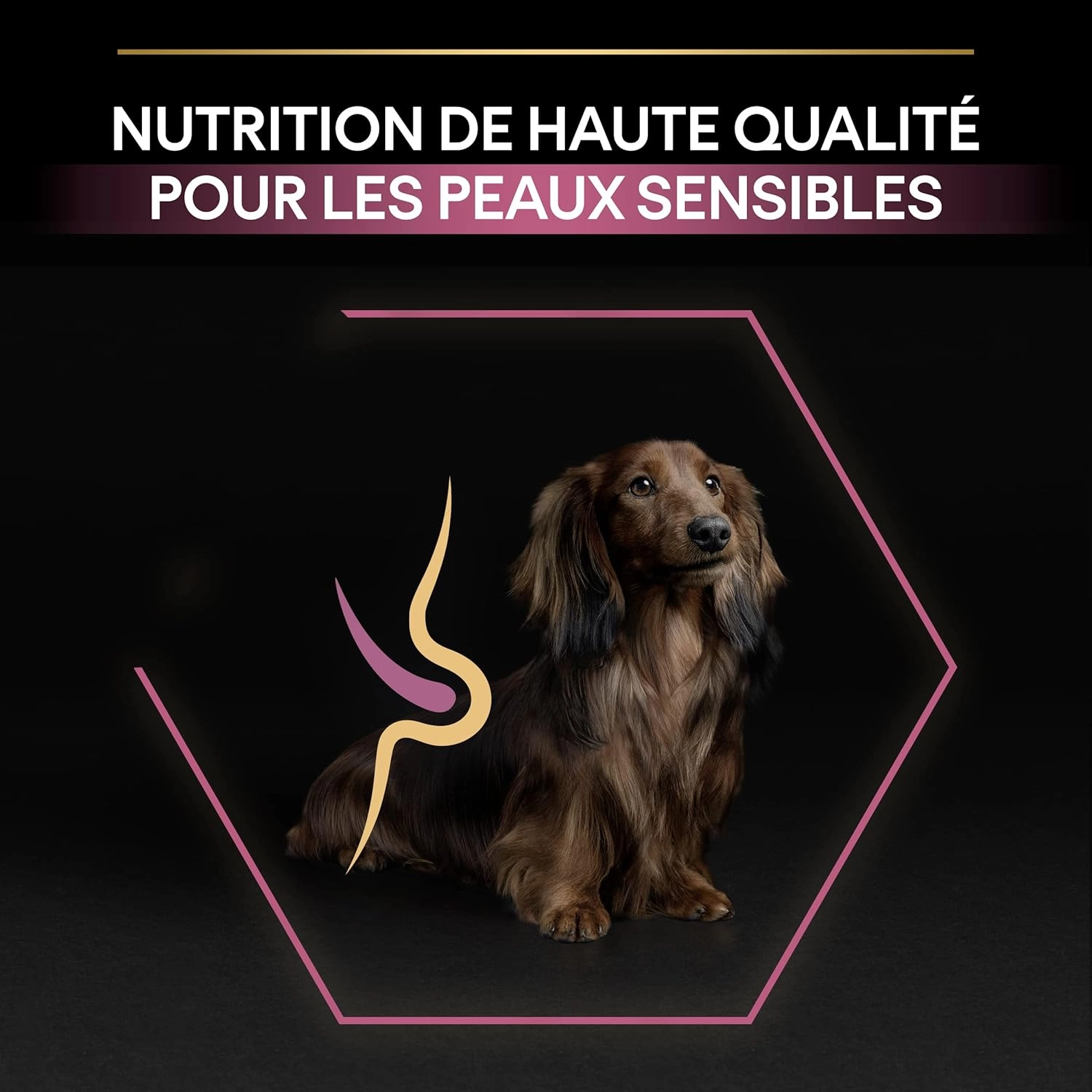 Pro Plan 7 kg Small&Mini Yetişkin Küçük Irk Köpek Maması Somonlu 
