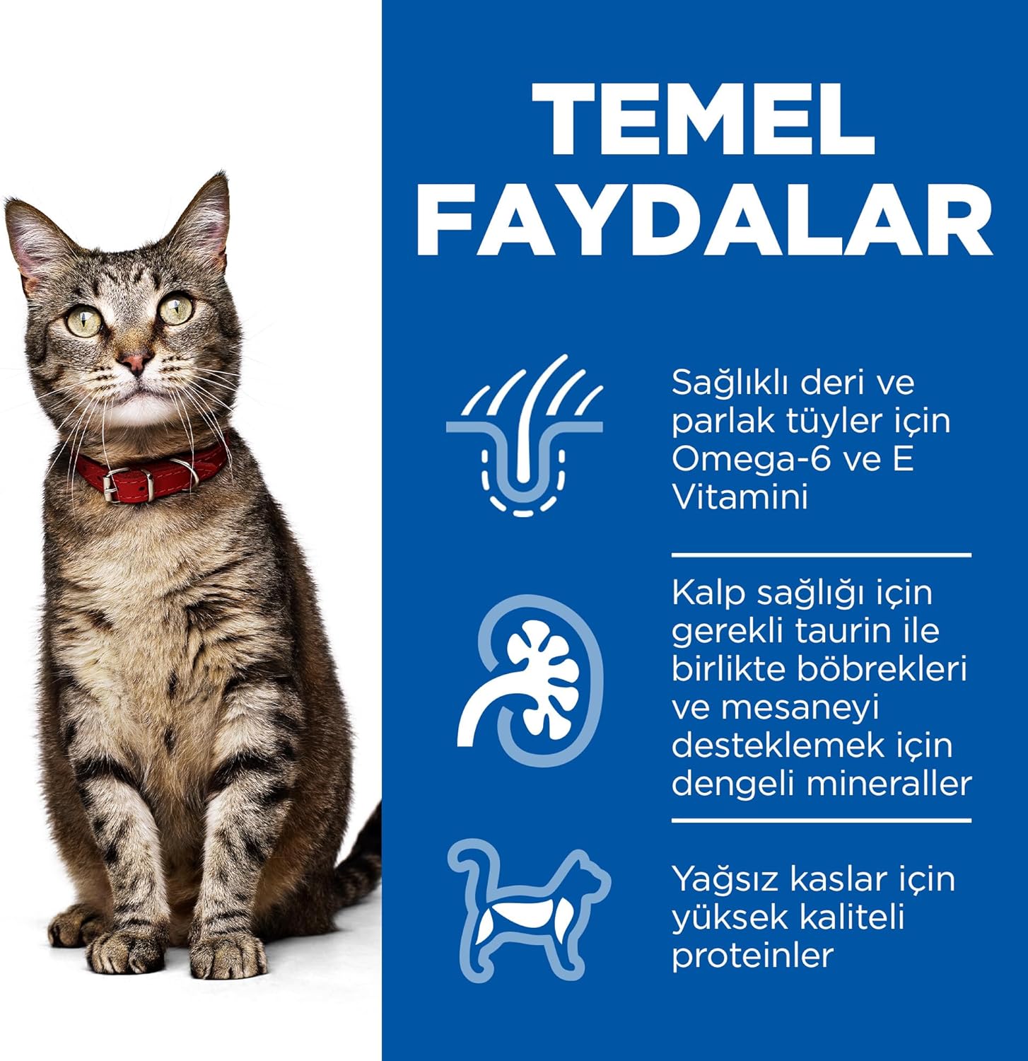 Hill’s%2010%20Kg%20Kuzu%20Etli%20Yetişkin%20Kedi%20Maması%20