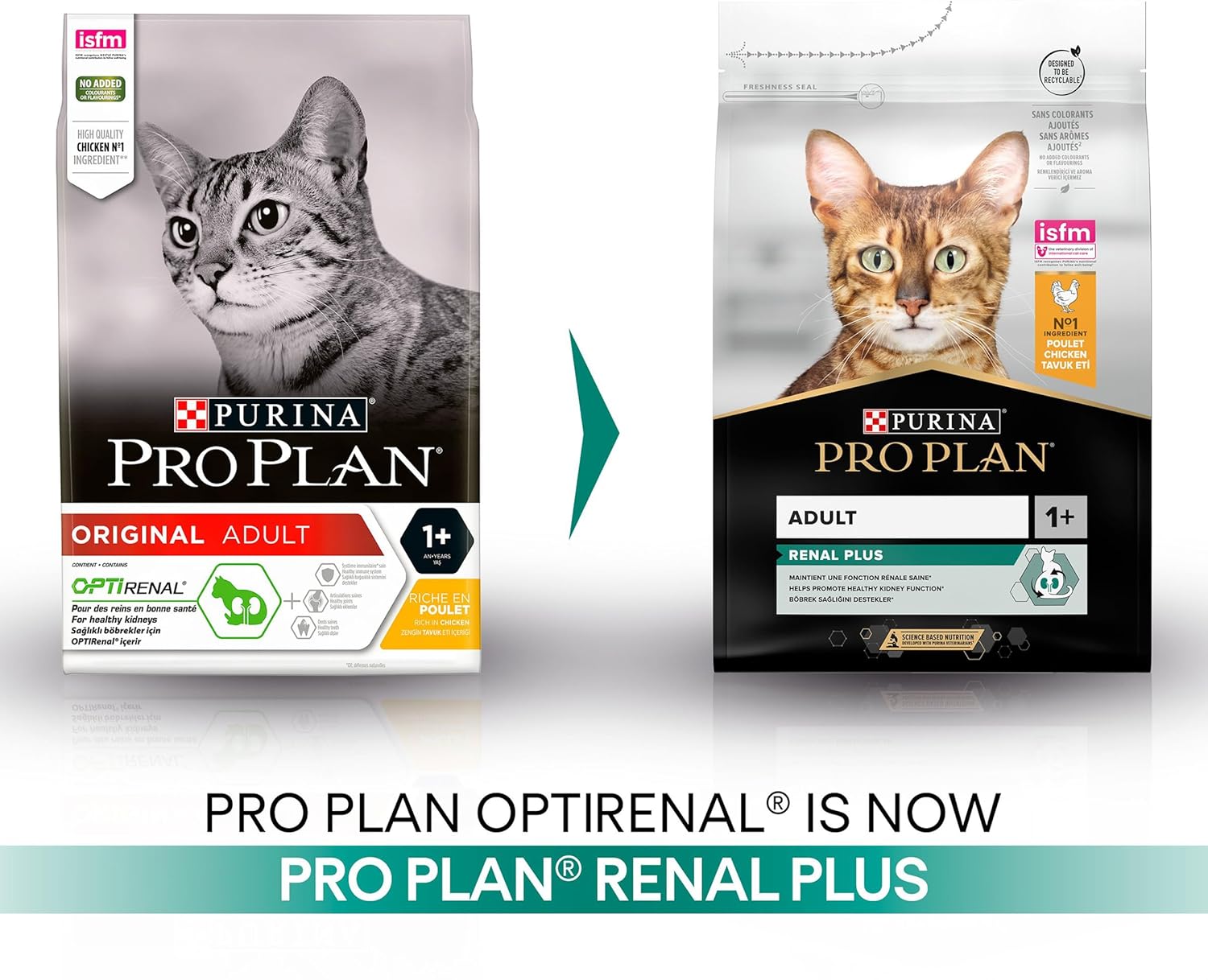 Pro%20Plan%203%20Kg%20Tavuklu%20Yetişkin%20Kedi%20Maması