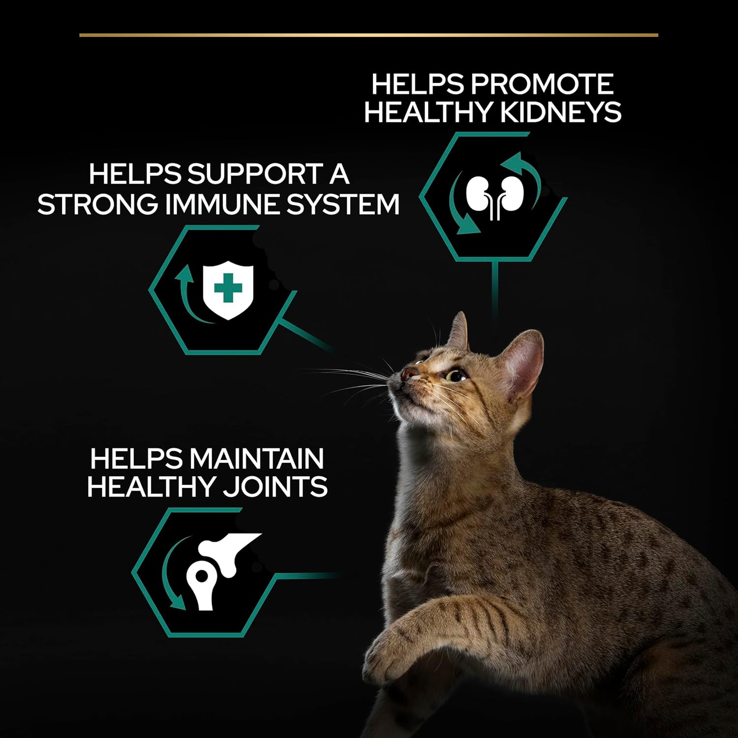 Pro%20Plan%203%20Kg%20Tavuklu%20Yetişkin%20Kedi%20Maması