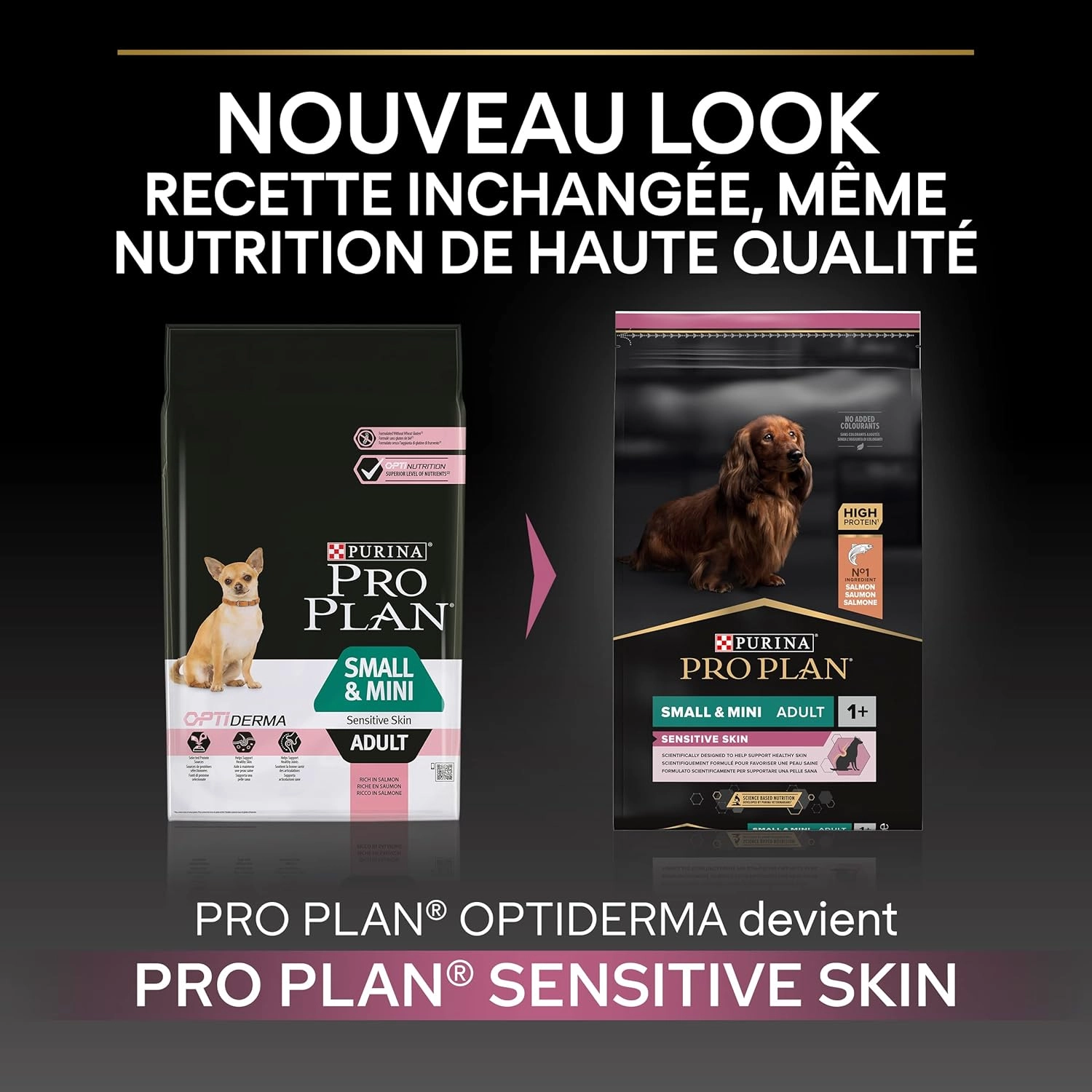 Pro Plan 7 kg Small&Mini Yetişkin Küçük Irk Köpek Maması Somonlu 