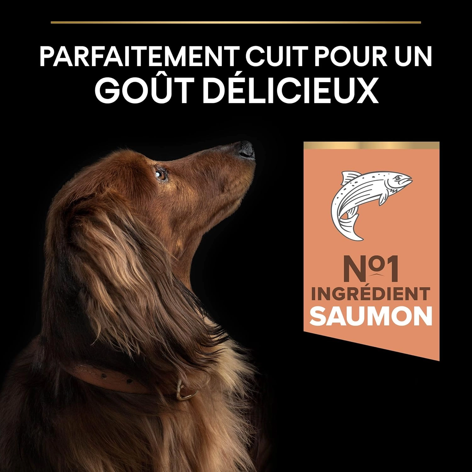 Pro Plan 7 kg Small&Mini Yetişkin Küçük Irk Köpek Maması Somonlu 
