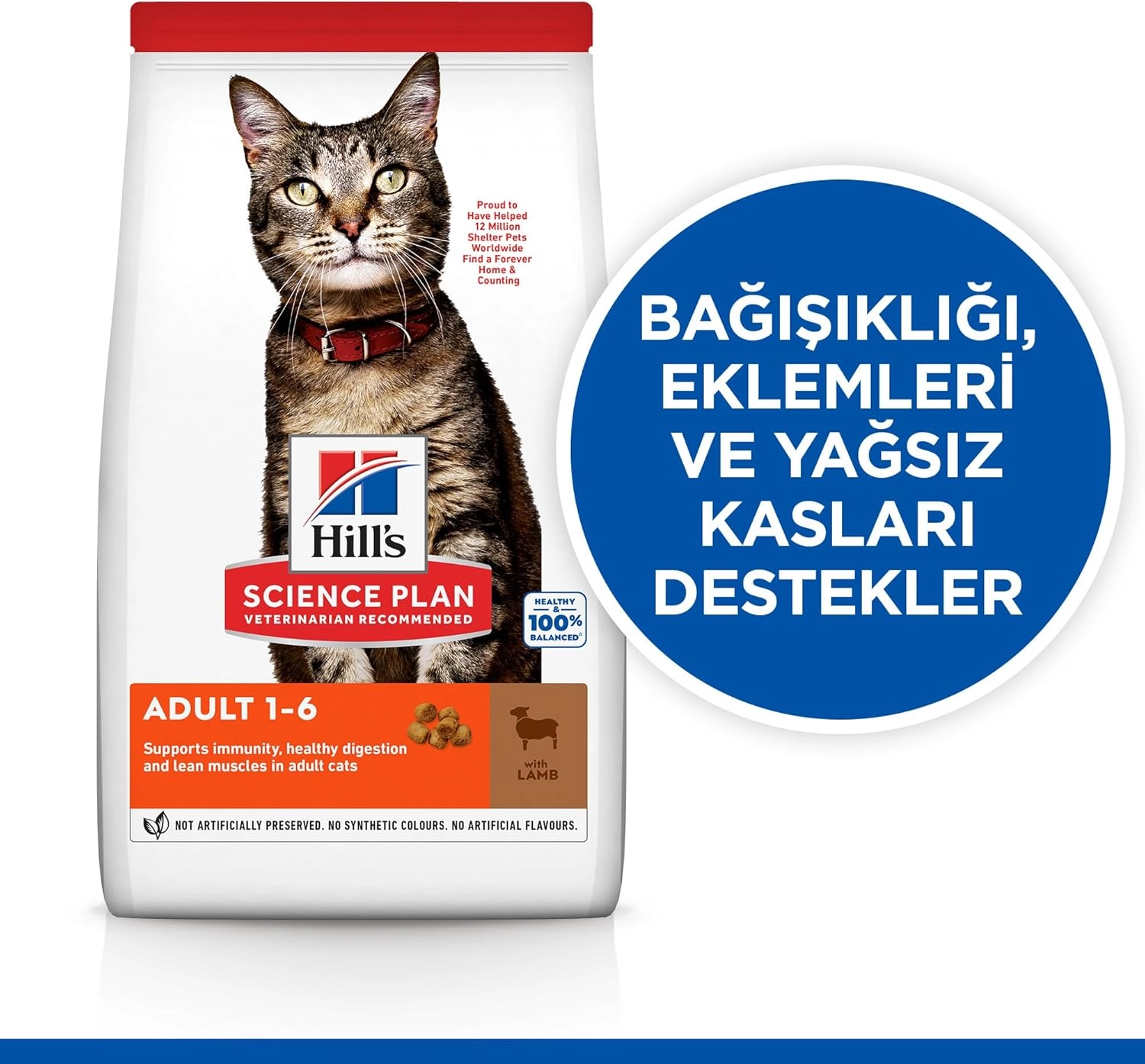 Hill’s 3 Kg Kuzu Etli Yetişkin Kedi Maması 