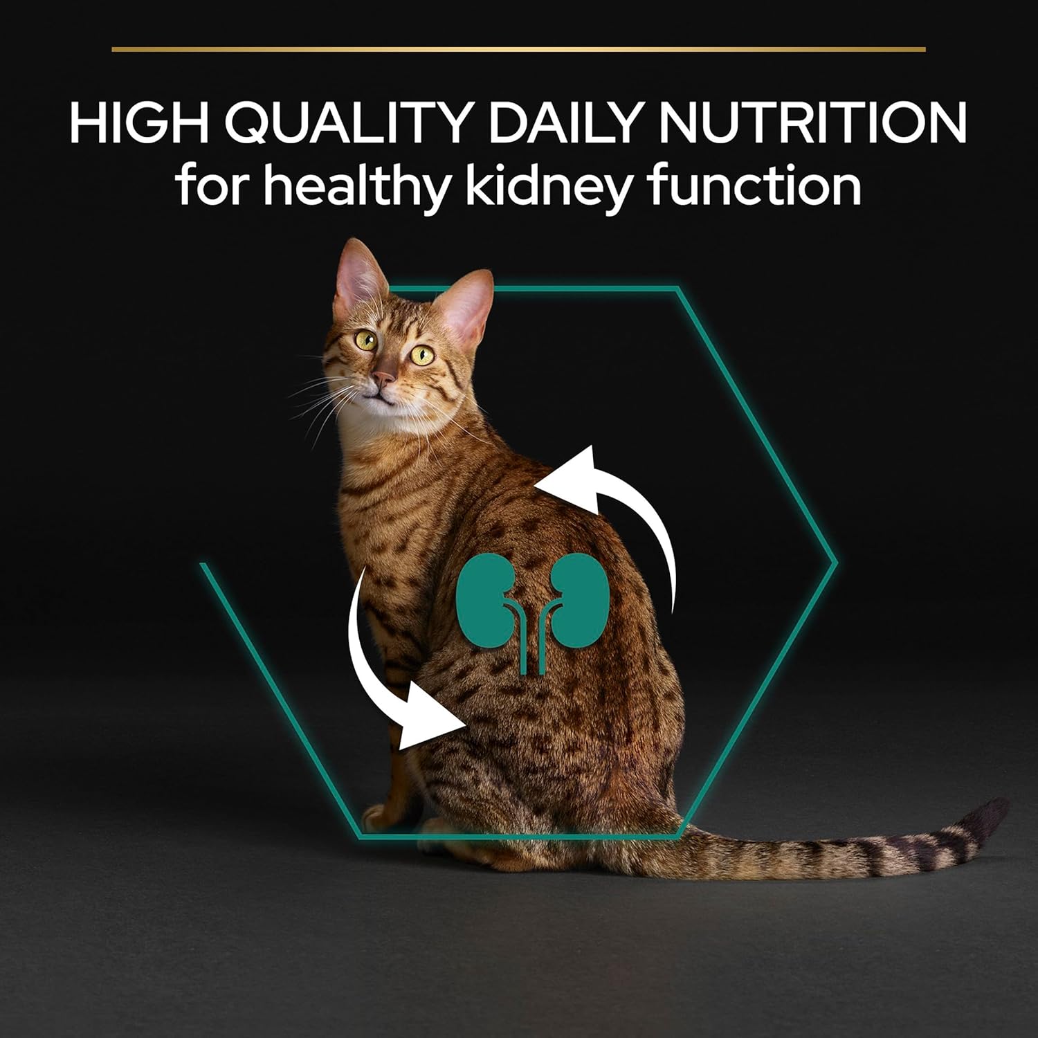 Pro%20Plan%203%20Kg%20Tavuklu%20Yetişkin%20Kedi%20Maması