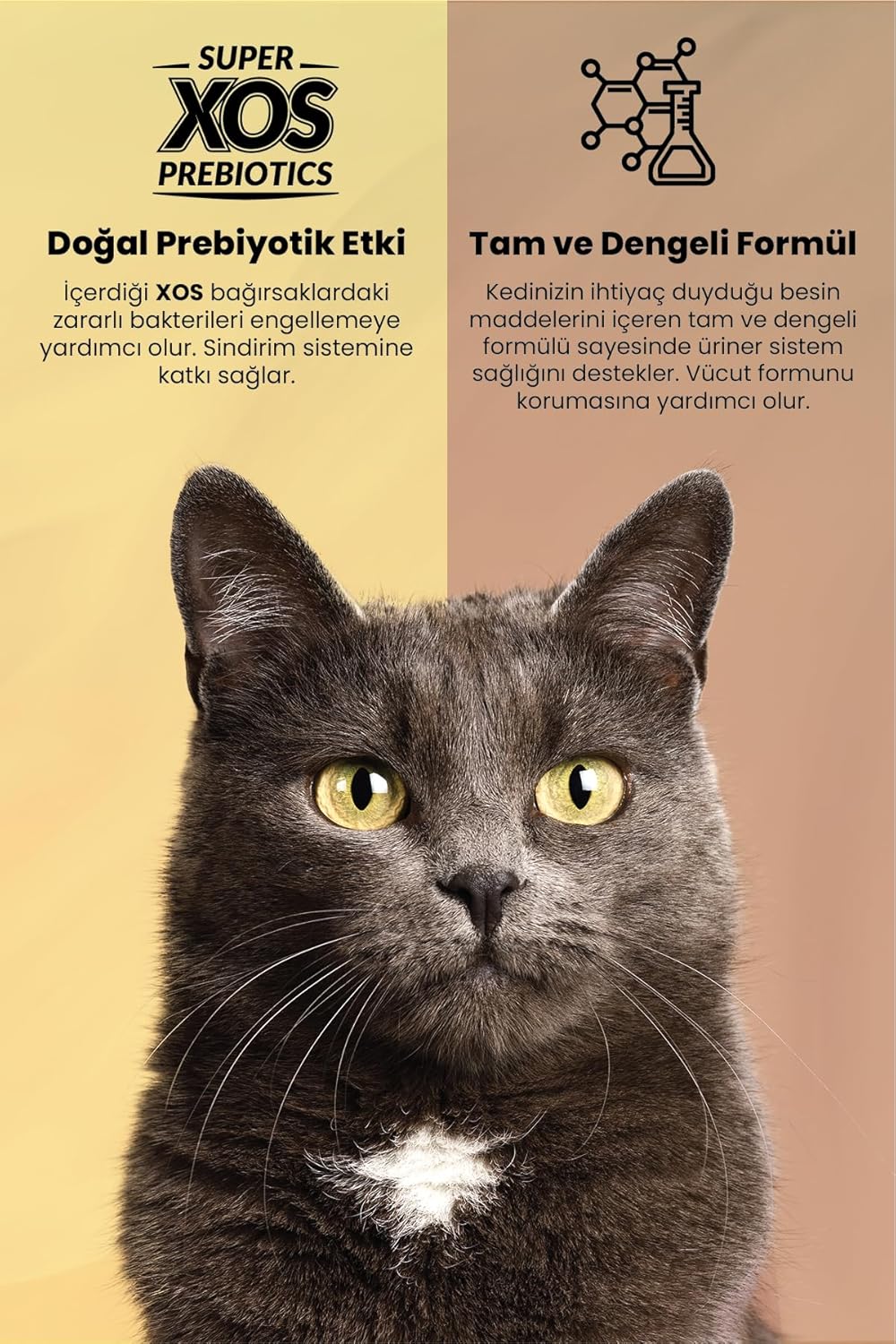 Reflex%20Plus%2015%20Kg%20Urinary%20İdrar%20Yolları%20Sağlığı%20Tavuk%20Etli%20Yetişkin%20Kedi%20Maması