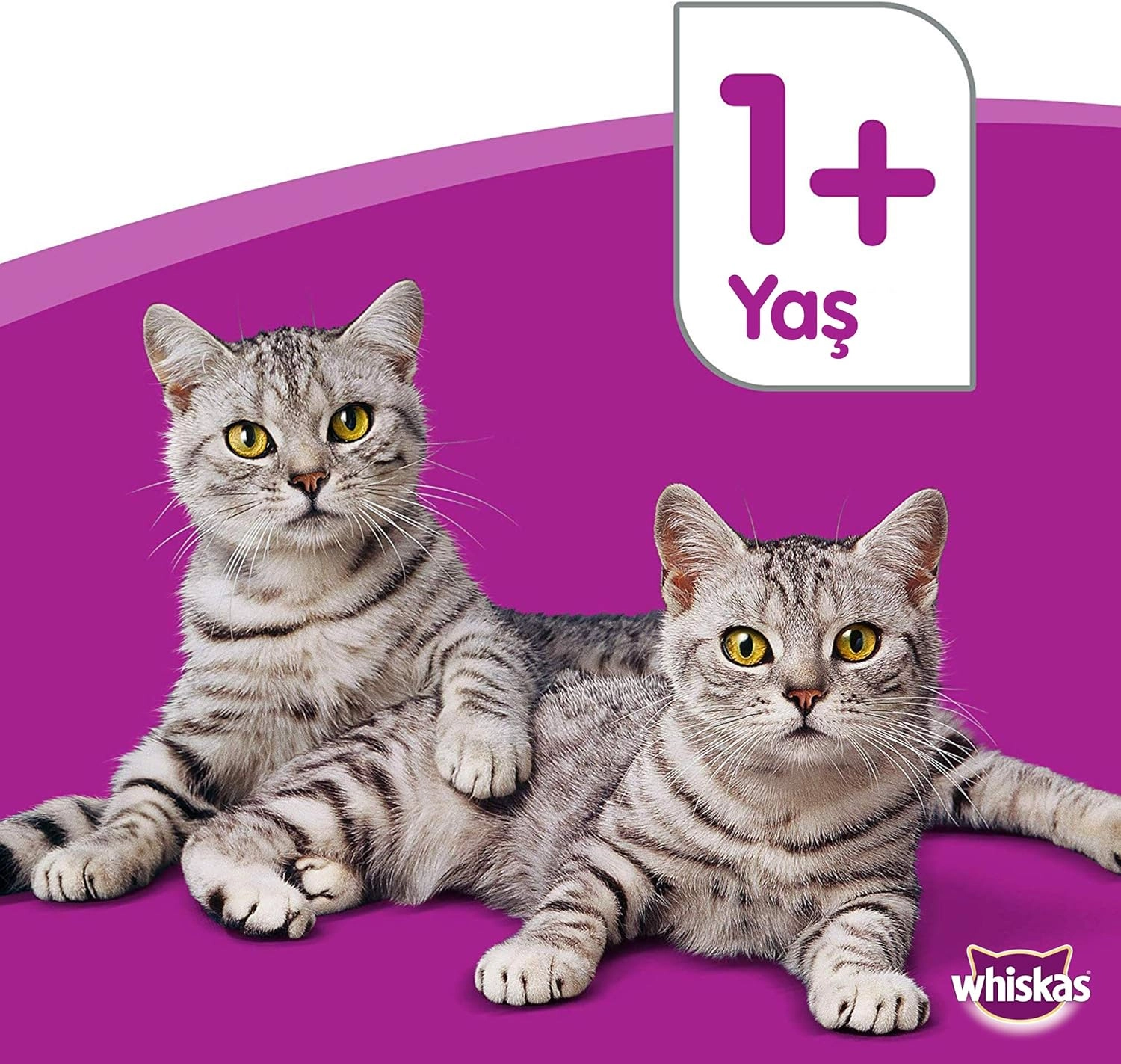 Whiskas 3.8 kg Ton Balıklı ve Sebzeli Yetişkin Kuru Kedi Maması
