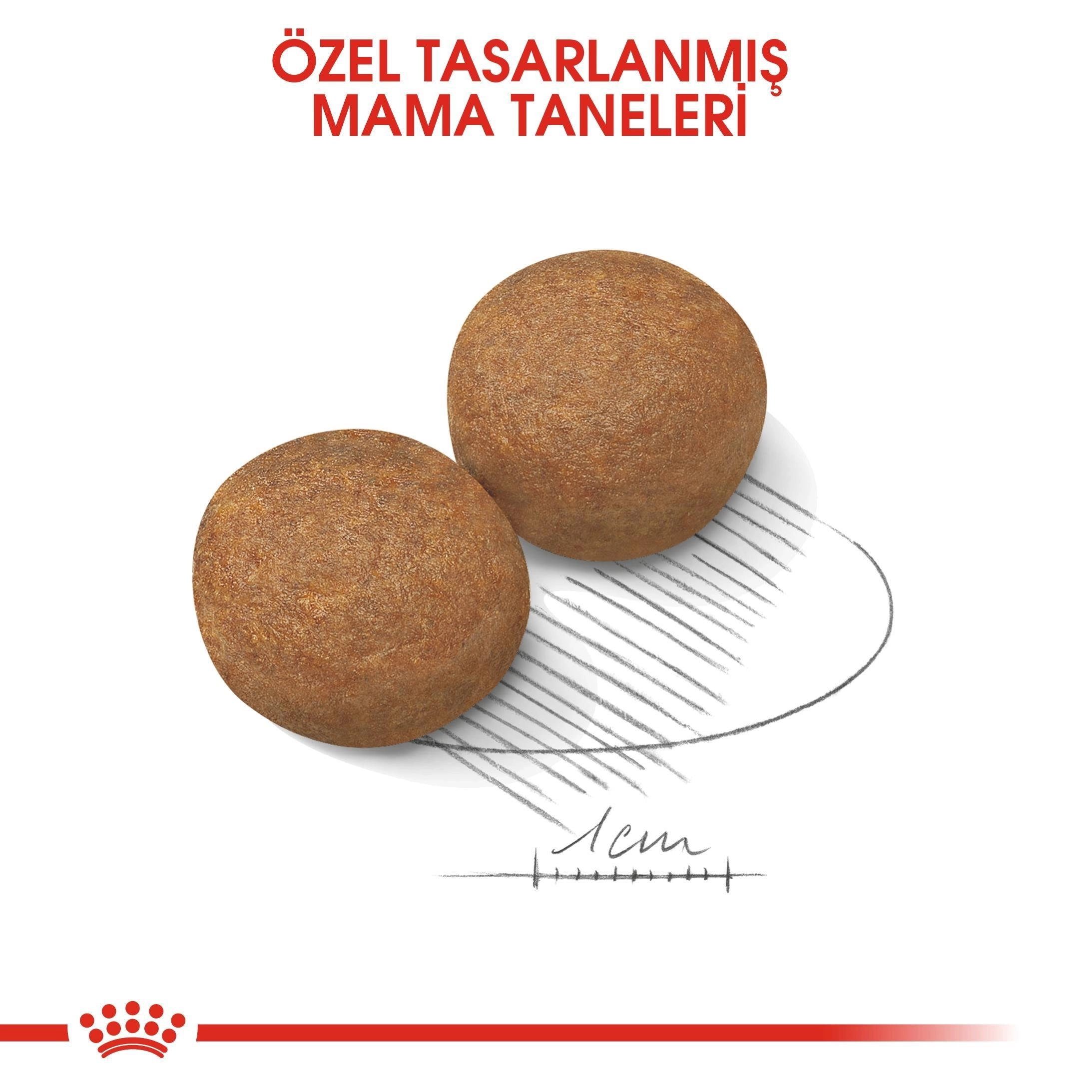 Royal Canin  15 kg Maxi Adult Yetişkin Büyük Irk Köpek Maması