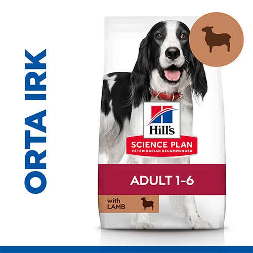 Hills 14 Kg Kuzu Etli Orta Irk Yetişkin Köpek Maması 