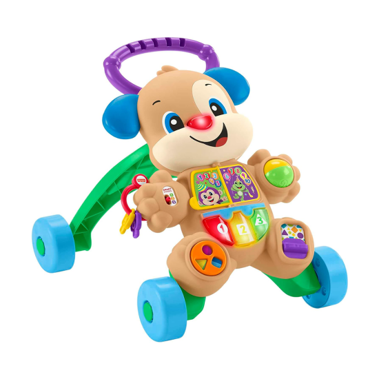 Fisher Price Eğitici Köpekçik Yürüteç FTG10